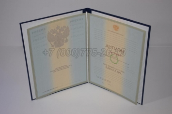 Диплом Бакалавра 2004г в Череповце
