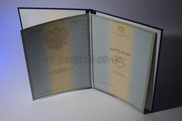 Диплом Института 2005г в Череповце